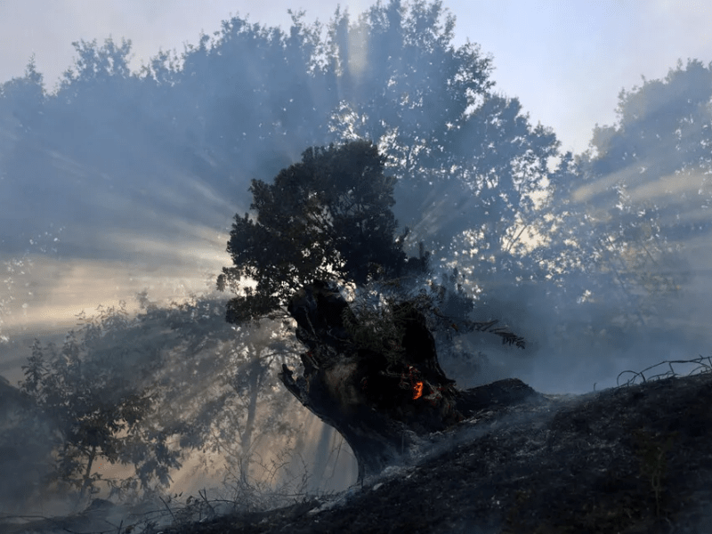 [ENG] Absence of the U.S., Silence of China… The ‘Amazon Climate Summit’ Fails to Deliver a Turning&nbsp;Point